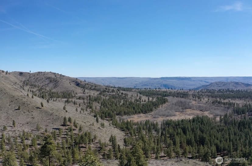 Property photo for 0 Nhn Washington Creek Road, Chelan photo 15