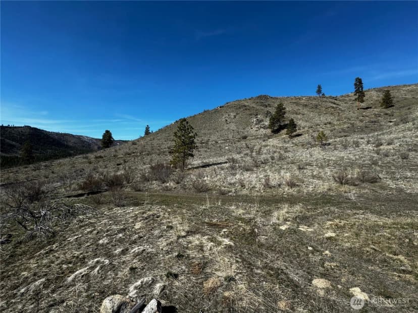 Property photo for 0 Nhn Washington Creek Road, Chelan photo 7