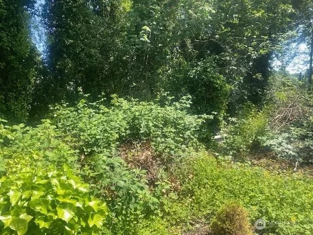 Property photo for 0 Arrowsmith Avenue S, Seattle photo 3