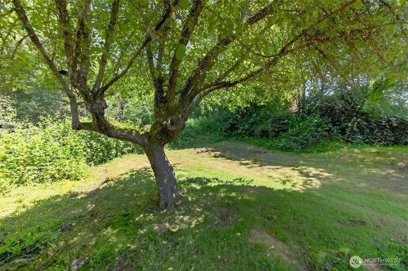 Property photo for 325 E State Route 4, Cathlamet photo 30