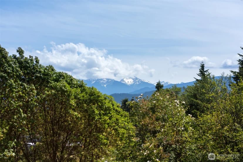 Property photo for 353 Ridge View Drive, Sequim photo 13