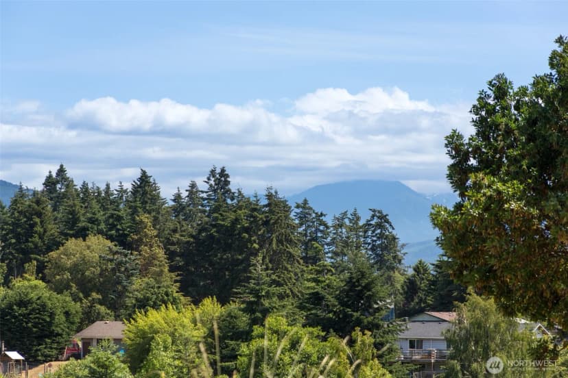 Property photo for 353 Ridge View Drive, Sequim photo 15