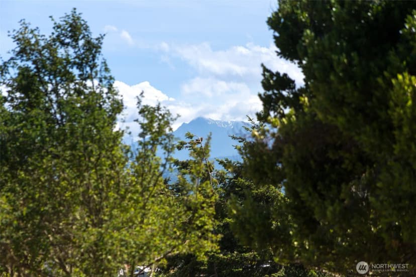 Property photo for 353 Ridge View Drive, Sequim photo 16