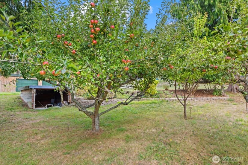 Property photo for 651 Olympic View Drive, Coupeville photo 37
