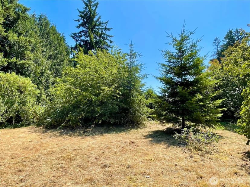 Property photo for 14515 25th Avenue Ct E, Tacoma photo 28