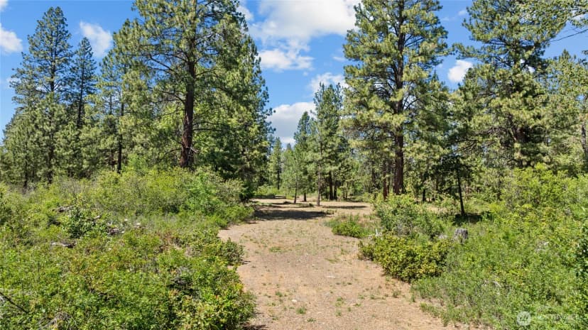 Property photo for 301 Quail Valley Road, Cle Elum photo 29