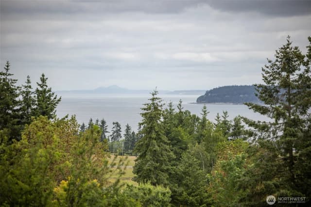 Property photo for 93 Old Schoolhouse Road, Sequim photo 3