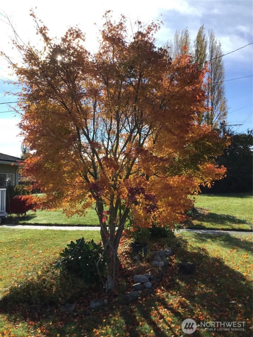 Property photo for 3105 K Avenue, Anacortes photo 36