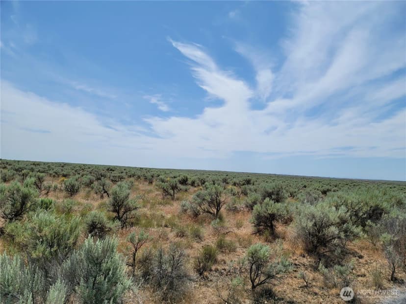 Property photo for 0 Lot 116 Eagle Springs Ranch, Wilson Creek photo 3