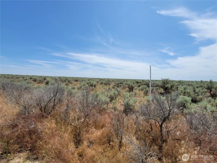 Property photo for 0 Lot 116 Eagle Springs Ranch, Wilson Creek photo 5