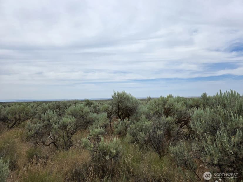 Property photo for 0 Lot 116 Eagle Springs Ranch, Wilson Creek photo 12