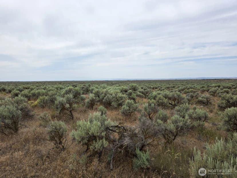 Property photo for 0 Lot 116 Eagle Springs Ranch, Wilson Creek photo 13
