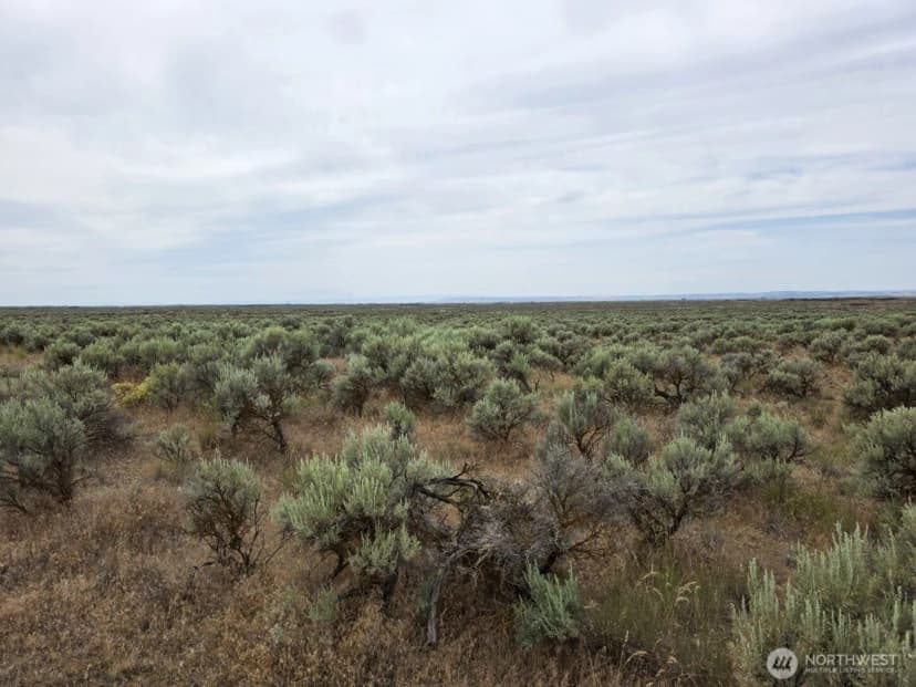Property photo for 0 Lot 116 Eagle Springs Ranch, Wilson Creek photo 17