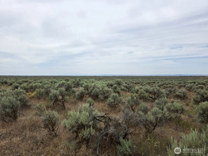 Property photo for 0 Lot 116 Eagle Springs Ranch, Wilson Creek photo 11
