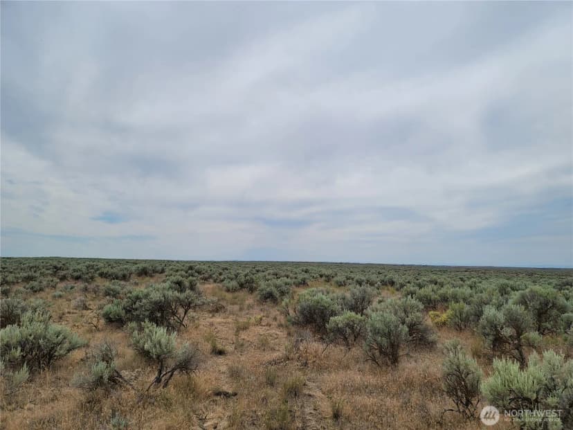 Property photo for 0 Lot 116 Eagle Springs Ranch, Wilson Creek photo 8