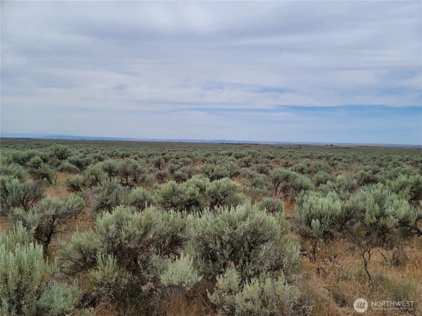 Property photo for 0 Lot 116 Eagle Springs Ranch, Wilson Creek photo 10