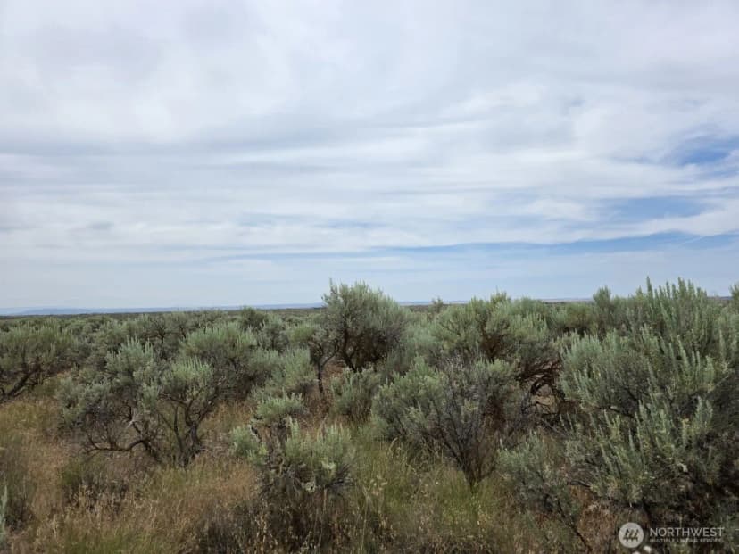 Property photo for 0 Lot 116 Eagle Springs Ranch, Wilson Creek photo 16