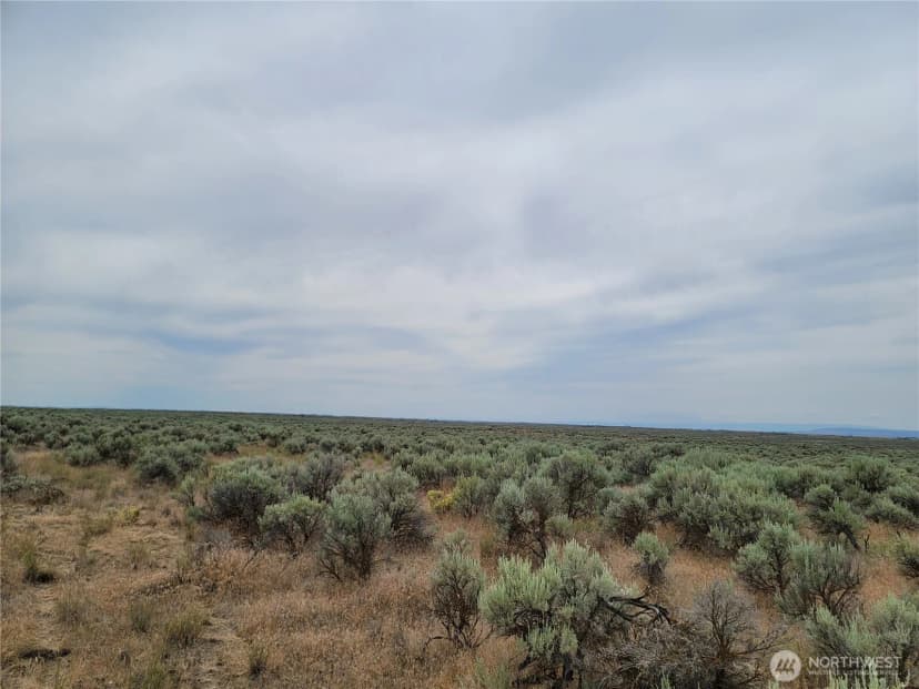 Property photo for 0 Lot 116 Eagle Springs Ranch, Wilson Creek photo 7