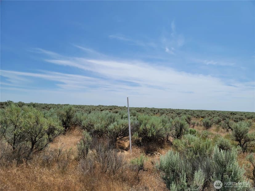Property photo for 0 Lot 116 Eagle Springs Ranch, Wilson Creek photo 2