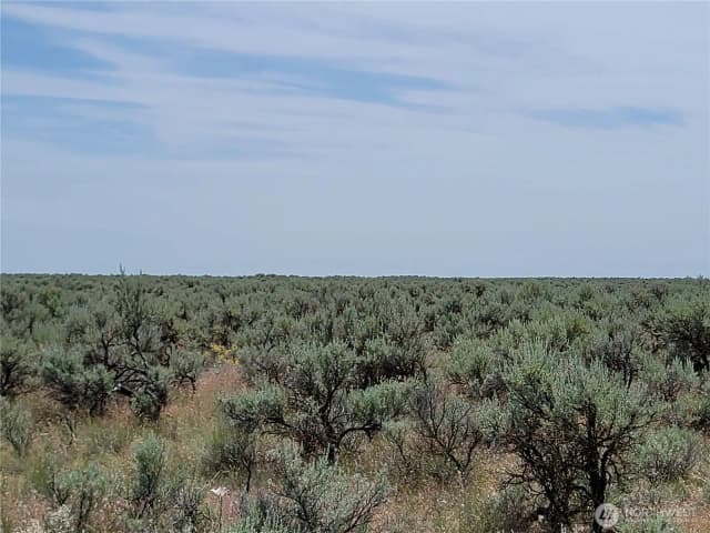 Property photo for 0 Lot 116 Eagle Springs Ranch, Wilson Creek photo 4
