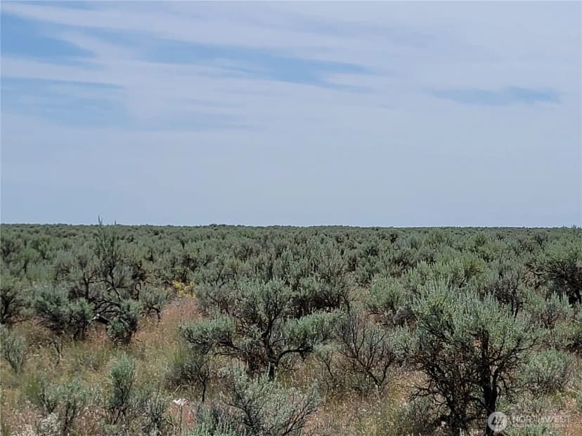 Property photo for 0 Lot 116 Eagle Springs Ranch, Wilson Creek photo 4