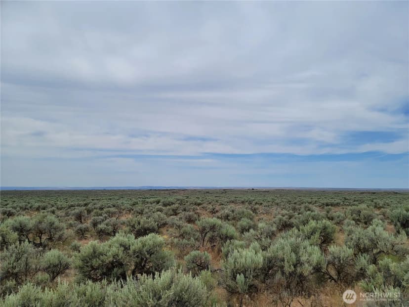 Property photo for 0 Lot 116 Eagle Springs Ranch, Wilson Creek photo 6