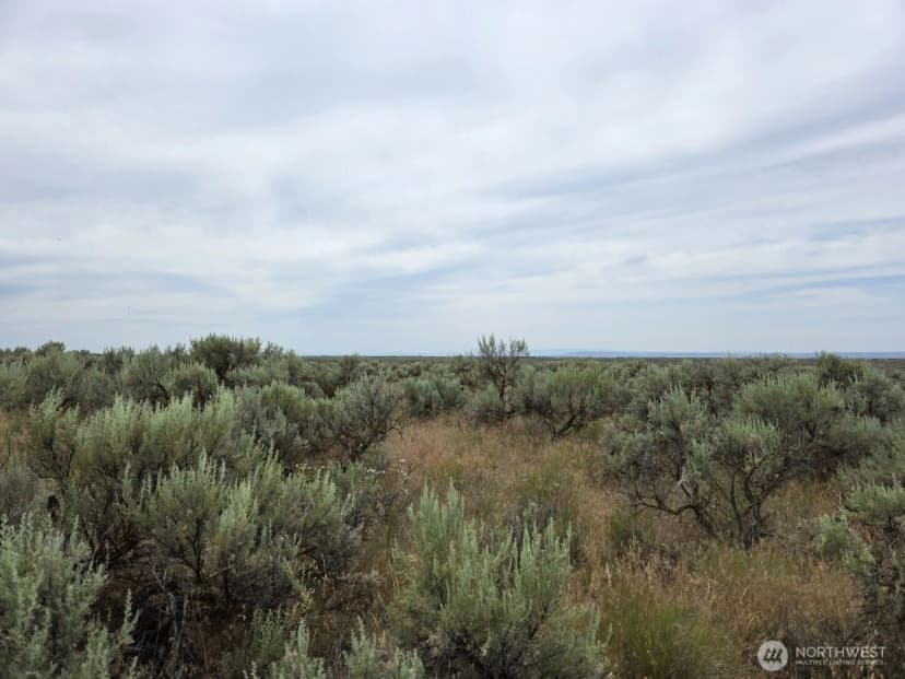 Property photo for 0 Lot 116 Eagle Springs Ranch, Wilson Creek photo 14