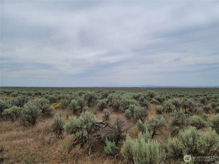 Property photo for 0 Lot 116 Eagle Springs Ranch, Wilson Creek photo 9