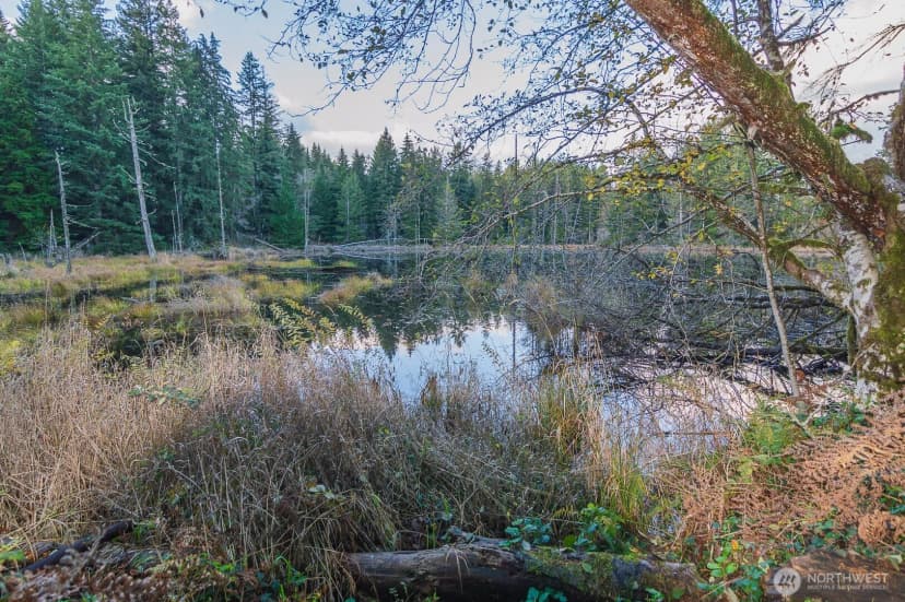 Property photo for 4650 Viridian Avenue Sw, Port Orchard photo 34