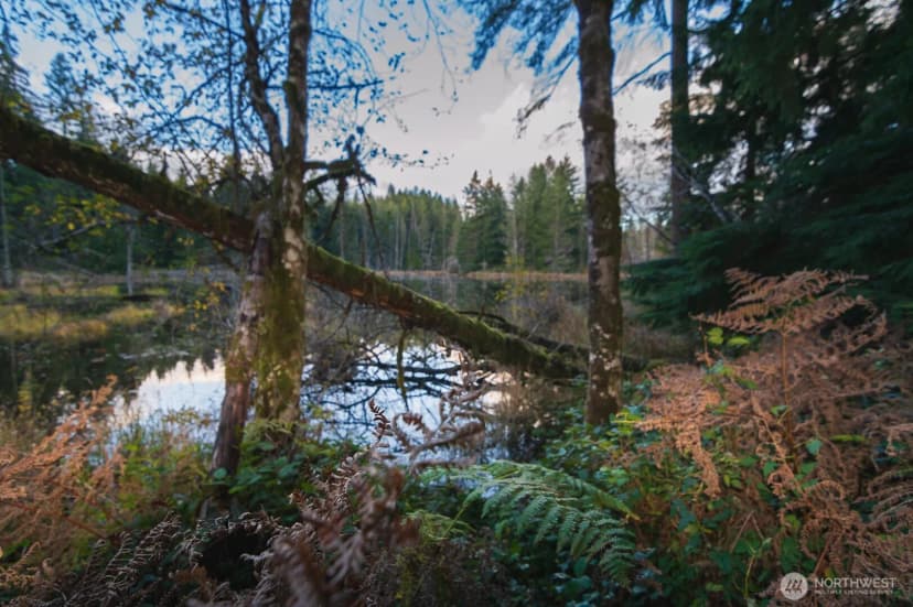 Property photo for 4650 Viridian Avenue Sw, Port Orchard photo 35