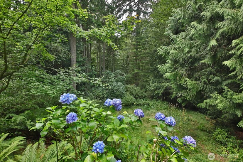 Property photo for 3048 Forest Lane, Langley photo 26