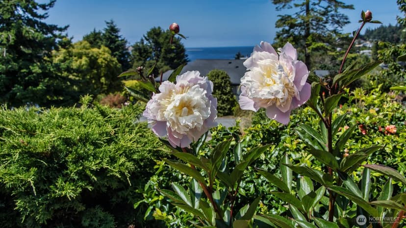 Property photo for 220 Colman Drive, Port Townsend photo 9