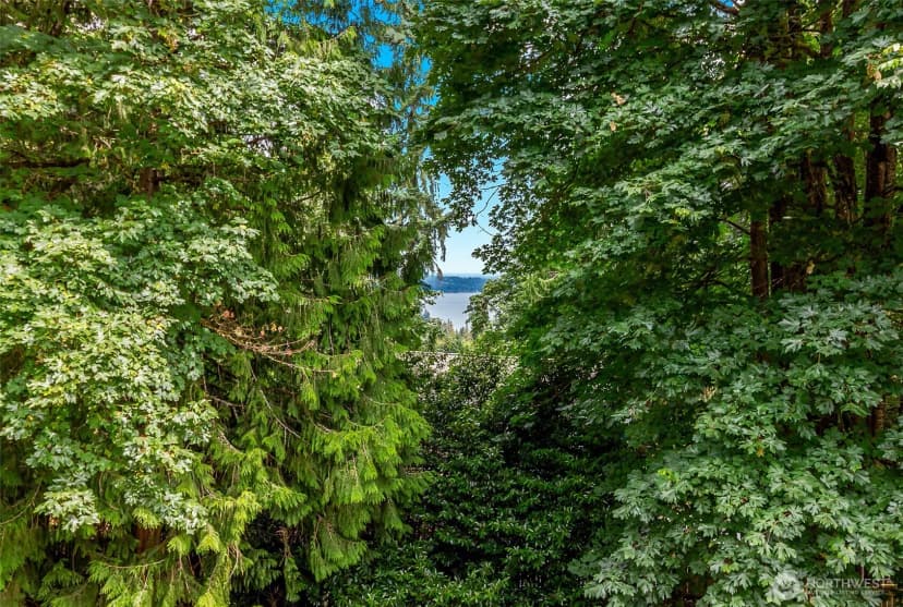 Property photo for 17002 Se 43rd Street, Bellevue photo 29