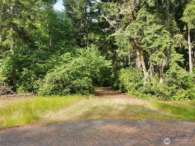 Property photo for 11422 Leschi Circle, Anderson Island photo 37