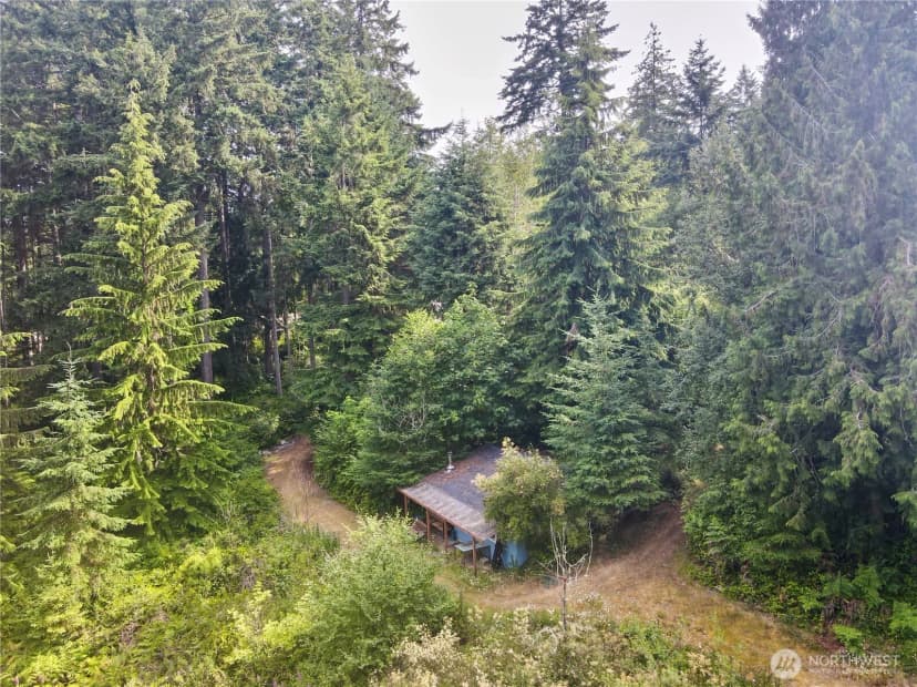 Property photo for 11422 Leschi Circle, Anderson Island photo 28