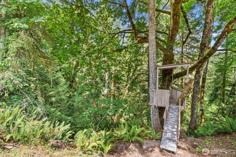 Property photo for 6511 Canyon Court Sw, Olympia photo 32
