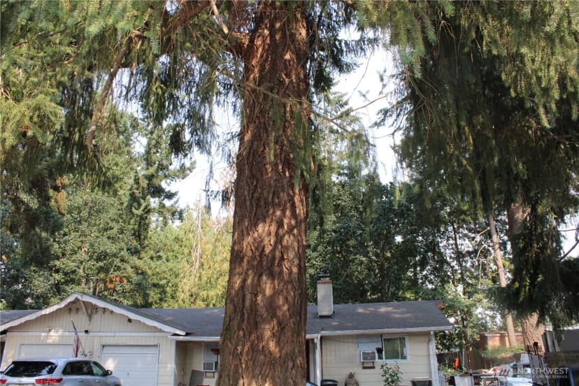 Property photo for 1414 Hensley Street Ne #1412, Lacey photo 22