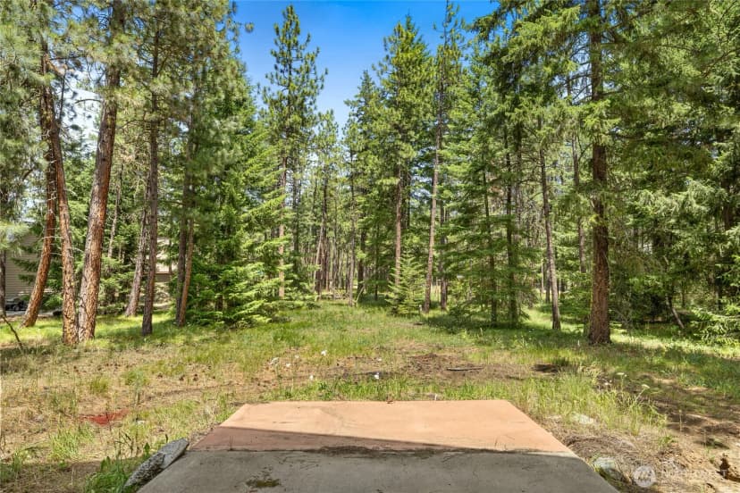 Property photo for 1201 Evergreen Valley Loop, Ronald photo 25