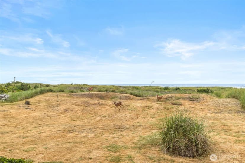 Property photo for 32601 G Street, Ocean Park photo 10