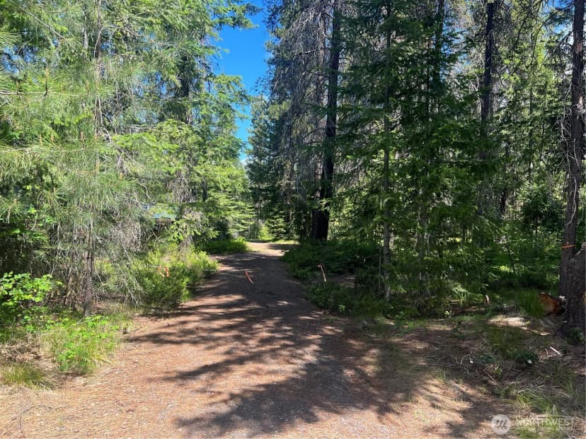Property photo for 12360 W Shurgart Flats Road, Leavenworth photo 23