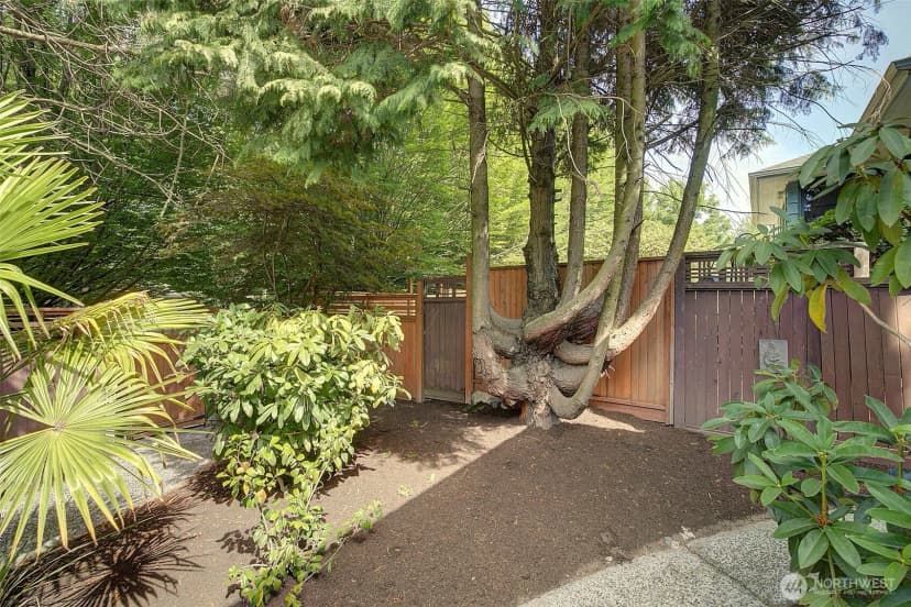 Property photo for 8222 35th Avenue Sw, Seattle photo 3