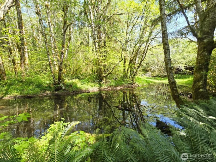 Property photo for Address withheld, Forks photo 13