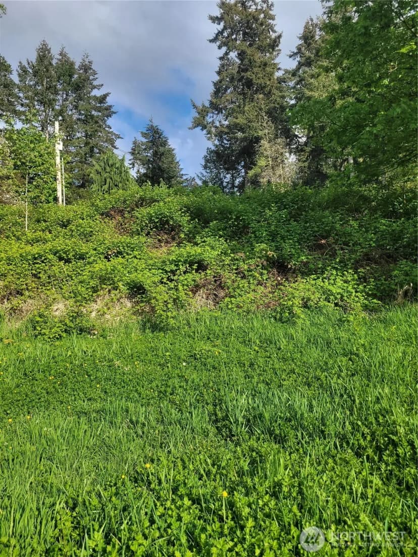Property photo for 30431 38th Avenue S, Auburn photo 17