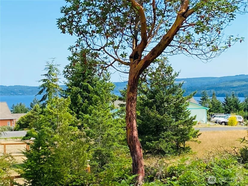 Property photo for 452 Manzanita Drive, Sequim photo 23