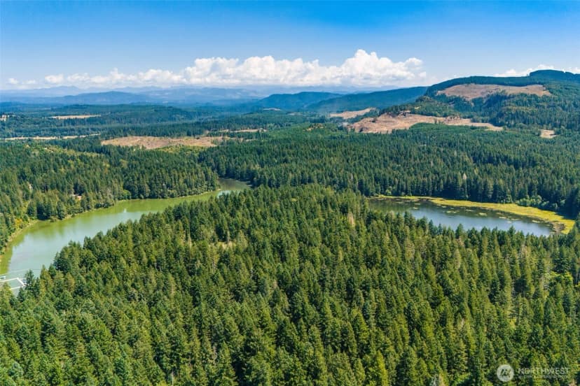 Property photo for 17502 Clear Lake Boulevard Se, Yelm photo 38