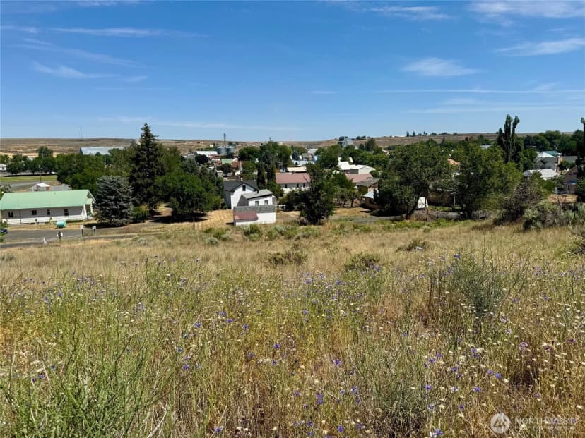 Property photo for 0 6th St Lot 12, Odessa photo 6