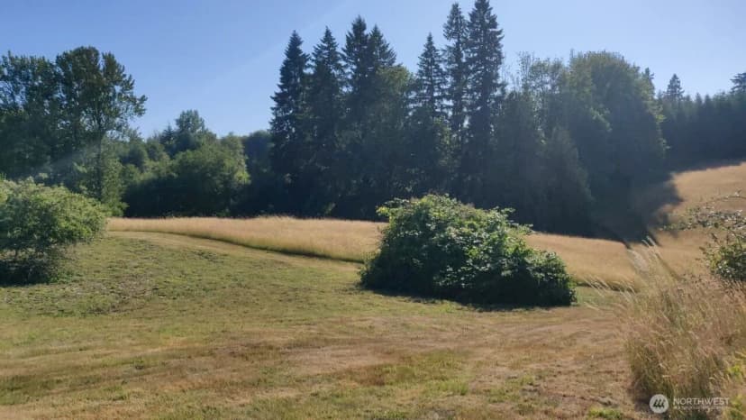 Property photo for 4335 Pleasant Hill Road, Kelso photo 33