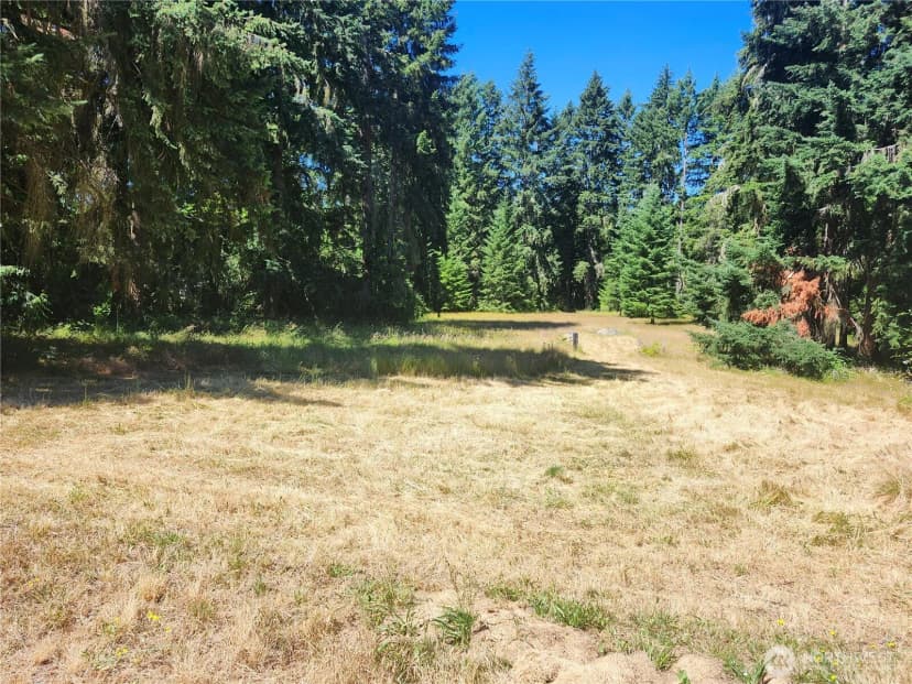 Property photo for 34412 Mountain Highway E, Eatonville photo 36