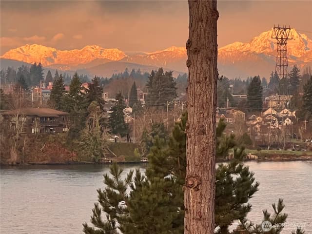 Property photo for 1149 Wheaton Way, Bremerton
