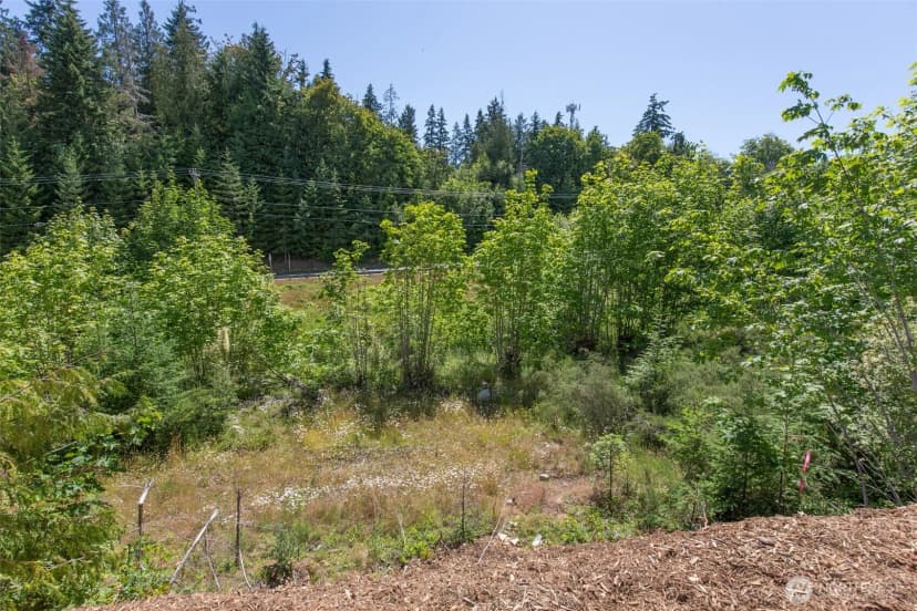 Property photo for 954 Monroe Road, Port Angeles photo 36